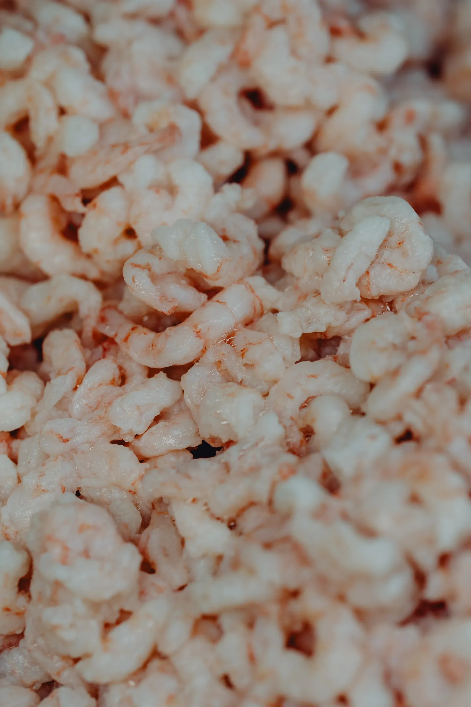 Crevettes nordiques décortiquées en vrac, Poissonnerie Les Escoumins